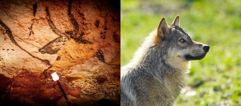 Lascaux IV + Parc du Thot