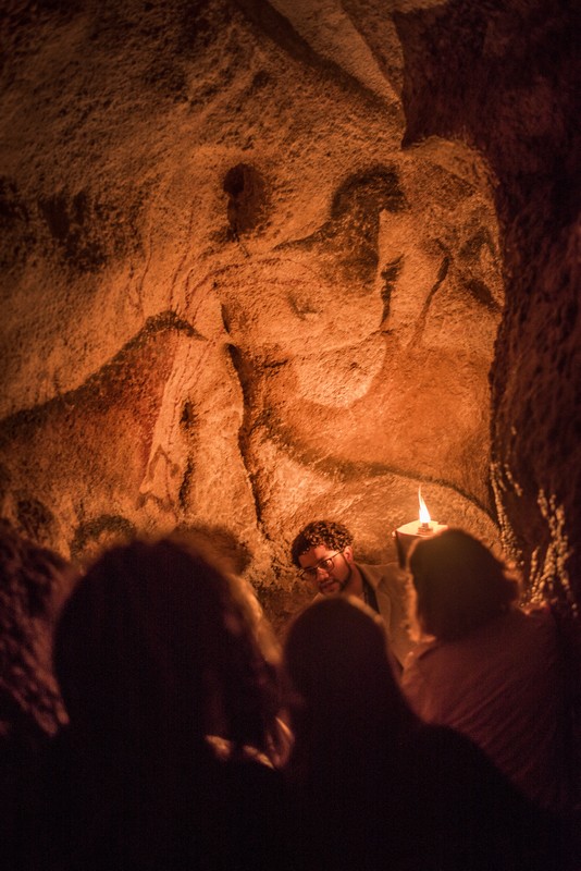 © Dan Courtice - Lascaux II