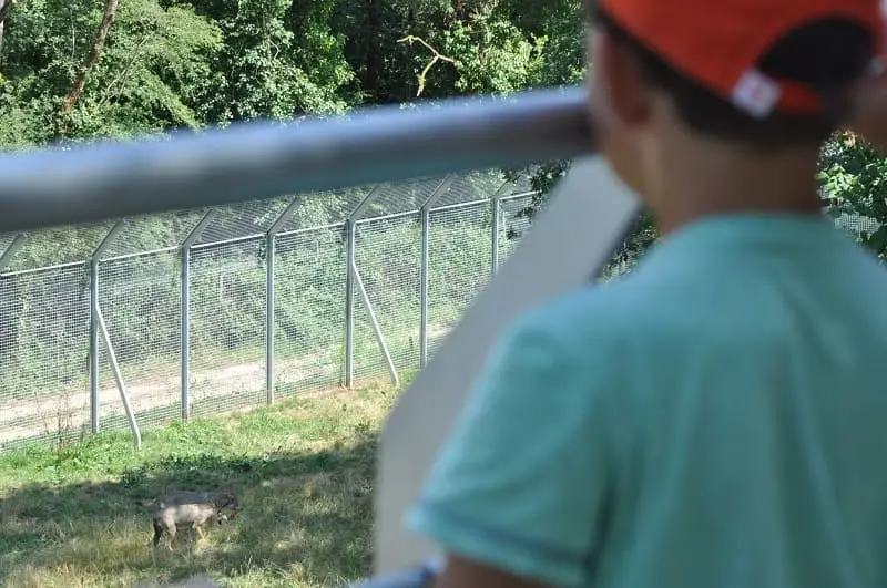 Atelier-soigneur-d_un-jour-_Semitour