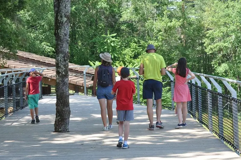 En famille ThotDSC_0473_1__1_