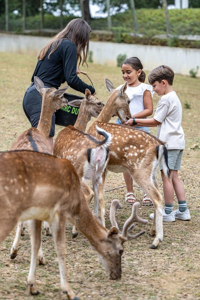 Médiations-Shooting Famille - We Like Travel _ SEMITOUR - Juillet 2025Déclic&Décolle